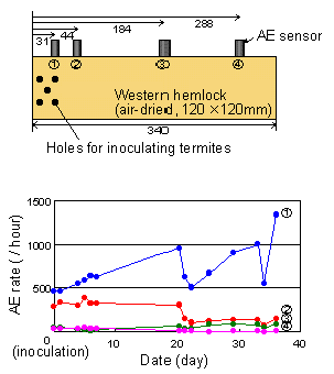 experimental setup and time changes of AE rate