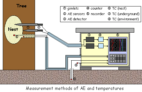 Measurement method