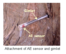 attachment AE sensor and gimlet