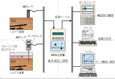 �V���A���H�QAE�̌��o�E��̓V�X�e��