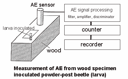 AE measurement
