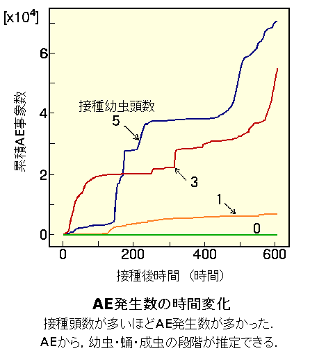 AE�������̎��ԕω�