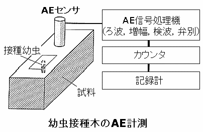�c���ڎ�؂�AE�v��