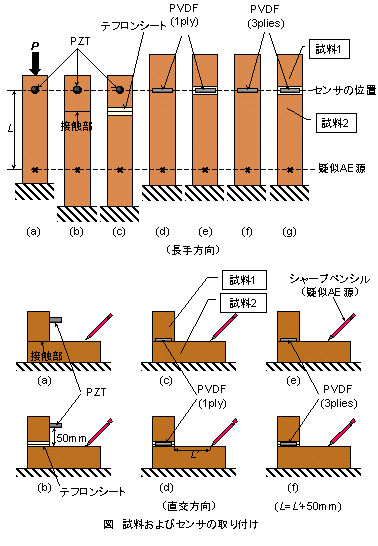 ��������уZ���T�̎��t��