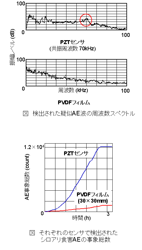 ���g���X�y�N�g���AAE���ې�