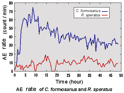 AE from C.Hormosanus and R.Speratus