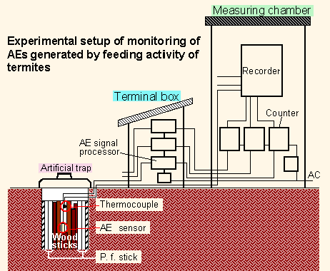 experimental setup