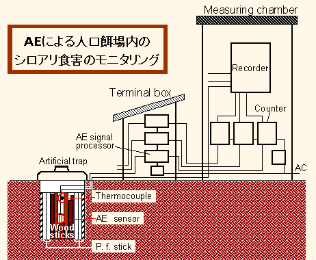 AE�ɂ��l�H�a����̃V���A���H�Q