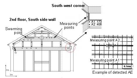 2nd floor, south side wall