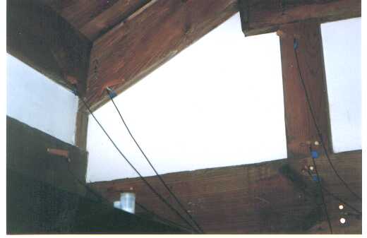 ���ނւ�AE�Z���T�̎��t��