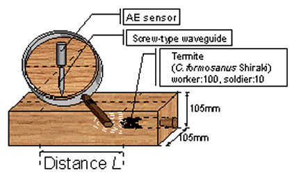 setup of waveguide