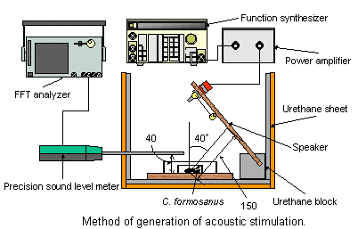 Method of generation of acoustic