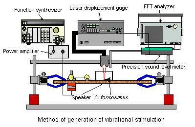 generation of vibrational stimulation