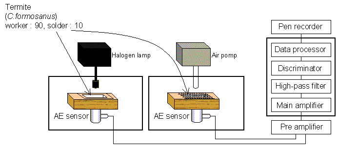 experimental setup