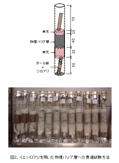 ���u����ю�����