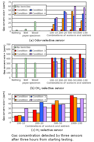 gas concentration detected by three sensors after three hours from startin testing