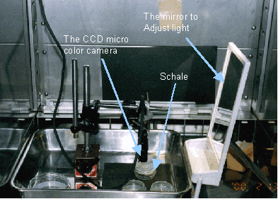 The observation device using the CCD micro color camera