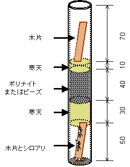 �ђʎ������u�}