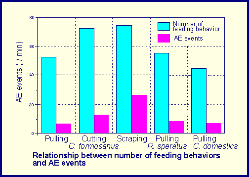 relationship between number of feeding behaviors and AE event