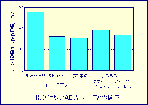 摂食行動とAE波振幅値との関係