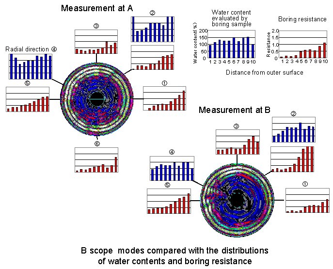 B modes compared with the distributions of water contents and boring registance