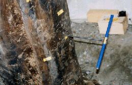 Sampling by increment borer