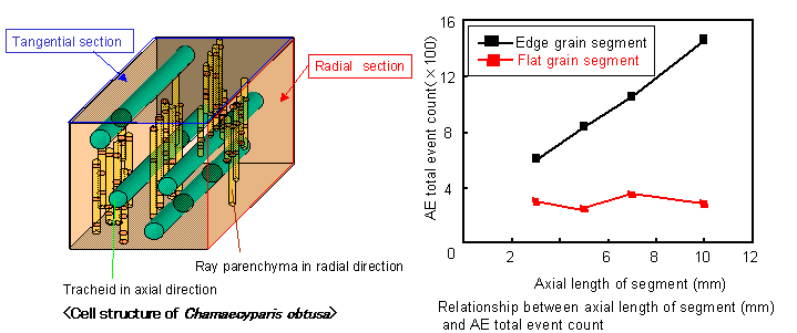 cell structure and result2