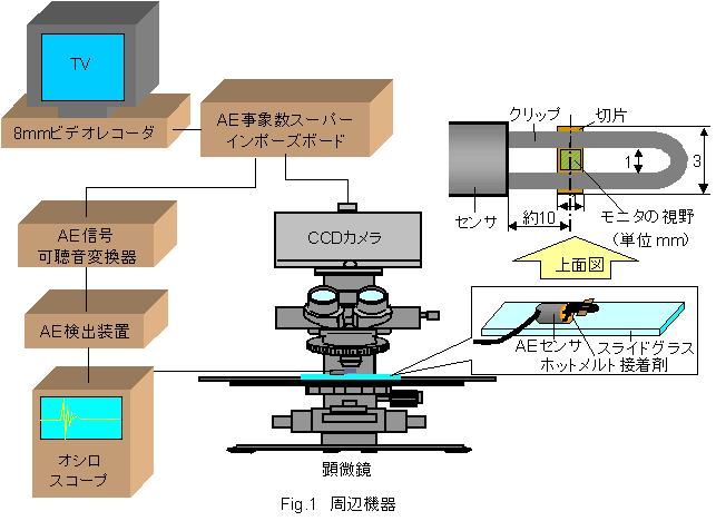 �������u