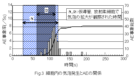 �זE���̋C�A������AE�̊֌W