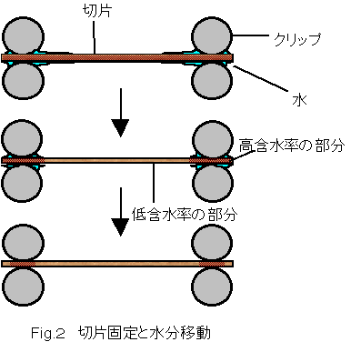 �ؕЌŒ�Ɛ����ړ�