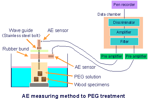 experimental setup