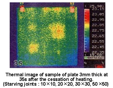thermal image of sample plate