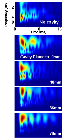 WT of elastic wave propagating in wood with an inner cavity of different diameter