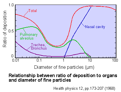 rate of deposition of fine particles to organs