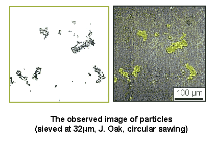 Image analysis of fine wood dust