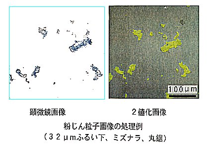 �����񗱎q�摜�̏�����