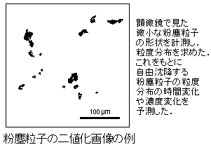 �����񗱎q�̂Q�l���摜